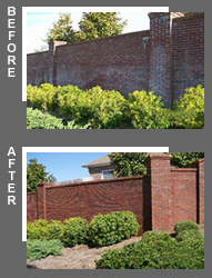 Power Wash Fence